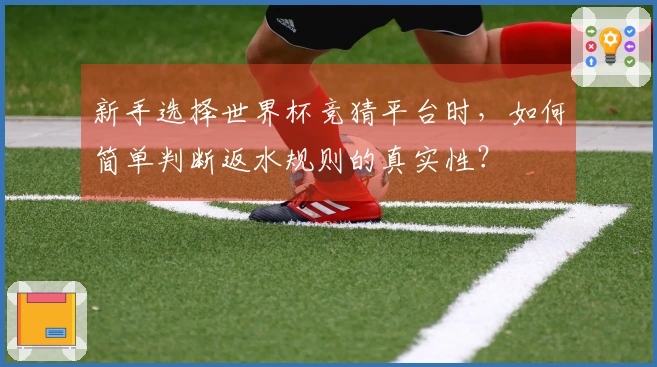 新手选择世界杯竞猜平台时，如何简单判断返水规则的真实性？