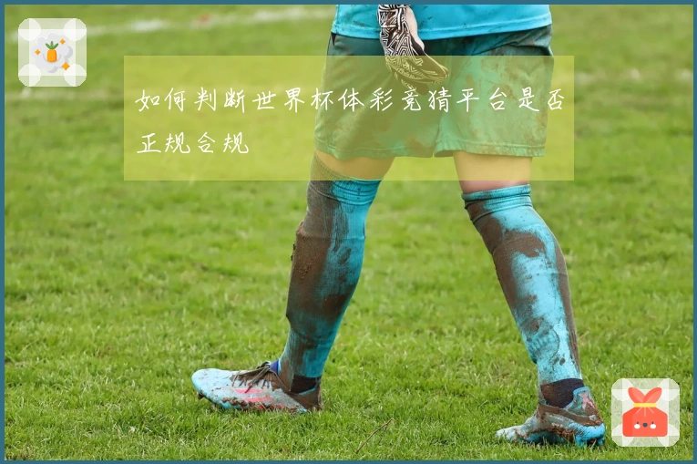 如何判断世界杯体彩竞猜平台是否正规合规