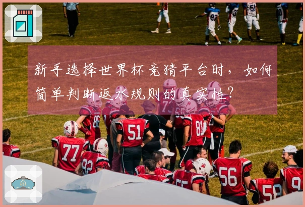 新手选择世界杯竞猜平台时，如何简单判断返水规则的真实性？